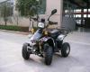 QUAD 50 cc-Strassenzul.komplett aufgebaut NUR NOCH BIS 15.11.08