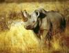 Abenteuer-Africa-Namibia