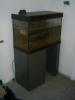 Aquarium abzugeben
