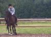 Suche Reitbeteiligung/ Pflegepferd Stuttgart