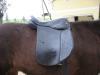 Champion Rider Sattel