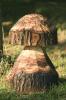 Holz Pilz Skulptur massive Handarbeit ca.30cm hoch