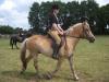 Suche Reitbeteiligung nähe Königswinter/ Oberpleis