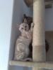 bengalkitten,  snowbengalen,  bengalen