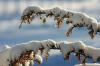 Den Winter im Herzen der Oberpfalz genießen