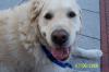 www.animal-happyfood.de Heimtiernahrung gesund&lecker