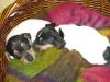 Jack Russel Terrier Welpen
