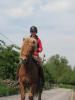 Suche RB , im Raum Krefeld!!