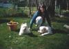 Nichtr.-Familie sucht dringend 4 Zim-Wohng./ Haus m. Garten in Cuxhaven z. 01.03.