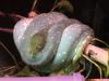 Hobby aufgabe Python, s und vieles mehr...