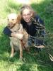 Liebevolle Hundebetreuung  mit Familienanschluss im Raum BN/ K/ AW/ SU