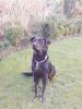 Anton sucht neues Zuhause