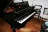 Flügel C. Bechstein A180,  zu verkaufen. 