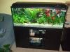 240 L Aquarium (Waterhome),  kompl. abzugeben
