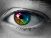 dringend  gesucht 