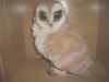 Uhu Vogel Figur