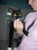 Junge,  liebe Katze Anna