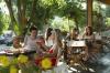 Italien-Urlaub im Mobilhome,  Toskana,  Campingplatz Park Albatros,  San Vincenzo