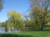2 Zi.-Whg. am Schäfersee in Berlin/ Reinickendorf