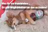 Verlagspromoter/ innen