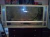 OSB Terrarium 120/ 60/ 60
