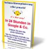 Google Suchmaschineneintrag - in weniger als 24 Stunden in Suchmaschinen geliste