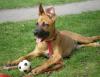 suche dringend ein neues zu Hause
