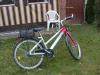 Pecasus Mädschenfahrrad