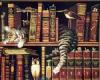 Jede Woche 10 neue eBooks