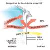 Isolierungsfolien - wärmer im Winter,  kühler im Sommer von Top Folien - Fensterf