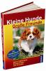 Mini-Mini-Spielstunde der Hundeschule Aschaffenburg