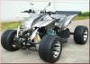 Das Sportquad des Jahres 2009