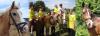 PONY-CAMP MIT HAPPY END