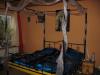 metallhimmelbett incl. lattenrost ovp