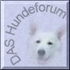 hundefreunde aufgepasst