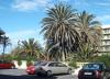arbeiten, wo andere Urlaub machen - Andalusien