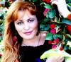 Bayreuther Biene sucht