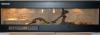 Terrarium 160 x 30, 5 x 50, 5 cm samt Inhalt aus Umzugsgründen dringend abzugeben