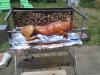 spanferkelgrill mieten 