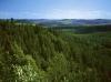 Im  Land der tausend Feuer 
