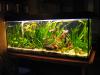 450L Aquarium komplett mit viel Zubehör