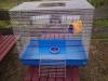 Käfig Nagerkäfig für z.B. Ratten,  Frettchen,  Chinchillas etc.