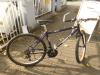 (213) 21 Gang 26 Zoll Rh 40 sehr leicht