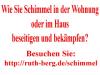 Schimmel Bekämpfung
