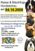 Rasse und Mischlings - Hundeschau am 04.10.2009