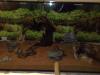 Aquarium,  200 x 60 x 70 cm