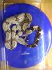 1.1 Boa C. Constrictor Surinam/ Pokigron