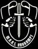 M.A.A.S. - Nahkampf - Realistische Selbstverteidigung /  militärischer Nahkampf