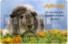 MEERSCHWEINCHEN Metall Warnschild