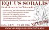 EQUUS SODALIS - Kursangebot 2010